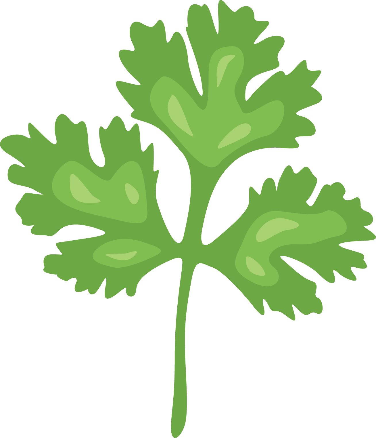 Coriander Png Hd Isolated (gray, black)