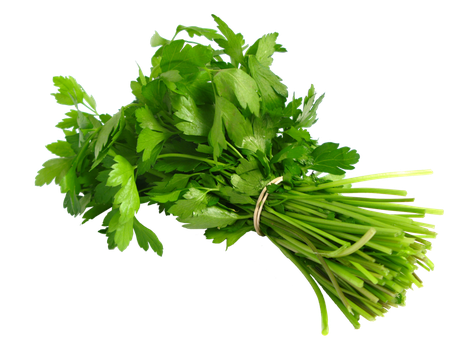 Coriander Png Hd (black)