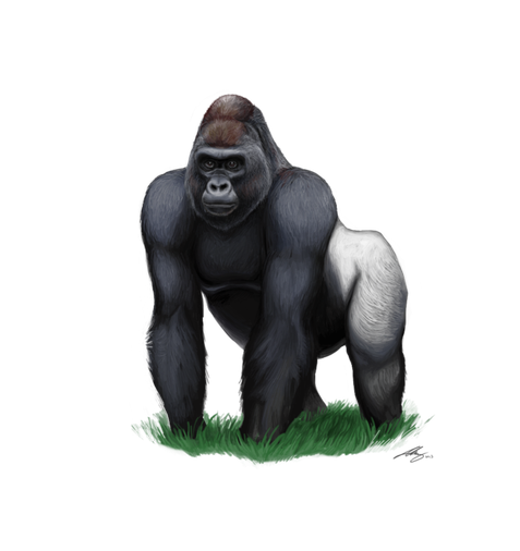 Gorilla Png Clipart (black)