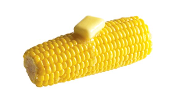 Corn Cob (gray, beige, black, gold)