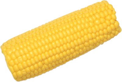 Corn Cob Png Clipart (black, gold)