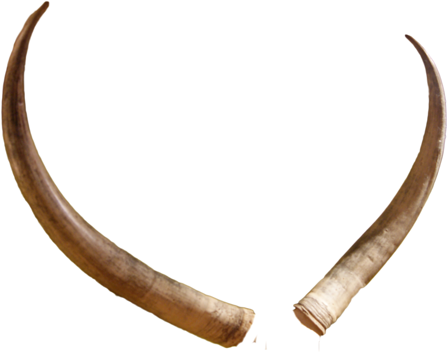 Horn Png Free Image (black, olive, gray)