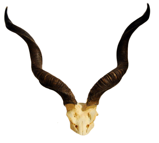 Horn Png Pic (black)