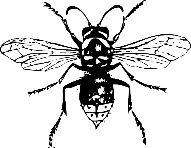 Hornet Insect Png Clipart (white, lavender, black)