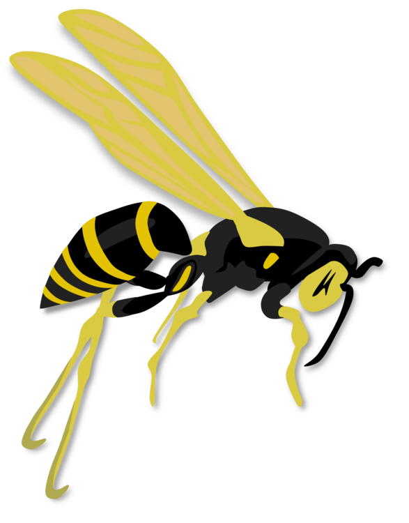 Hornet Insect Png Free Download (gold, black, salmon)