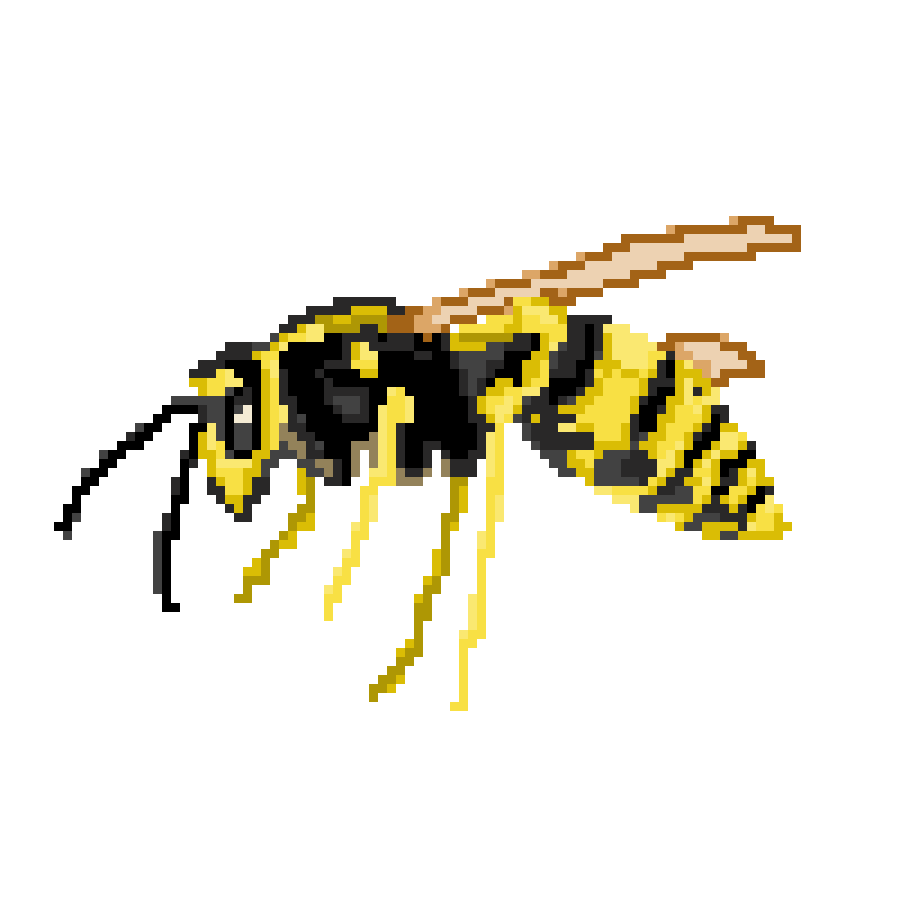 Hornet Insect Png Hd Isolated (white, beige, lavender, black)