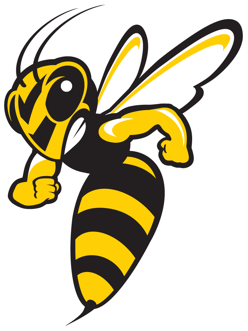 Hornet Insect Png Picture (white, black, gold)