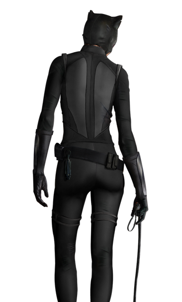 Fornite Catwoman Zero Transparent Png (black)