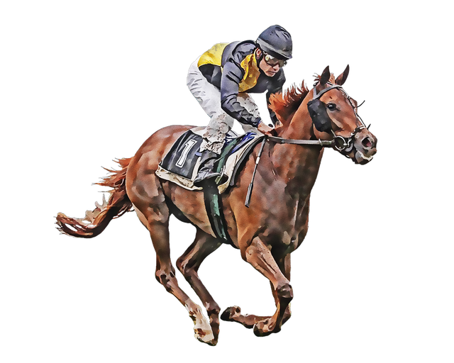 Horse Racing Png Clipart (black)