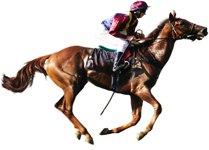 Horse Racing Png Hd Isolated (white, black)