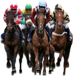 Horse Racing Png Hd (black)