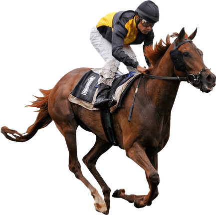 Horse Racing Png Isolated Hd (black)