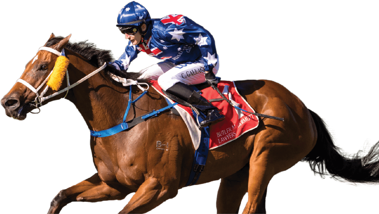 Horse Racing Png Pic (white, black)