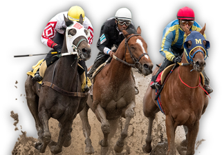 Horse Racing Png Transparent (white, black)