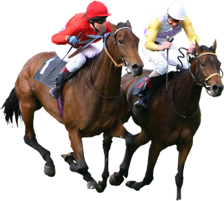 Horse Racing Transparent Png (white, black)