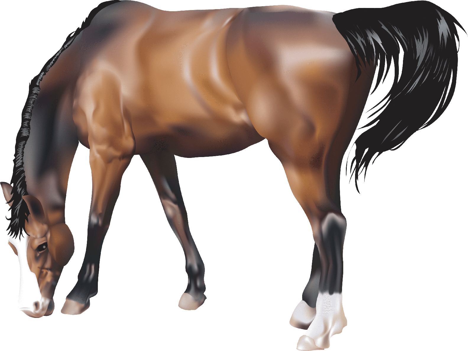 Horse Transparent Png (white, black)