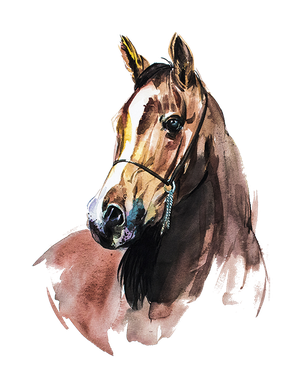 Horse Vector Png Photo (white, black)