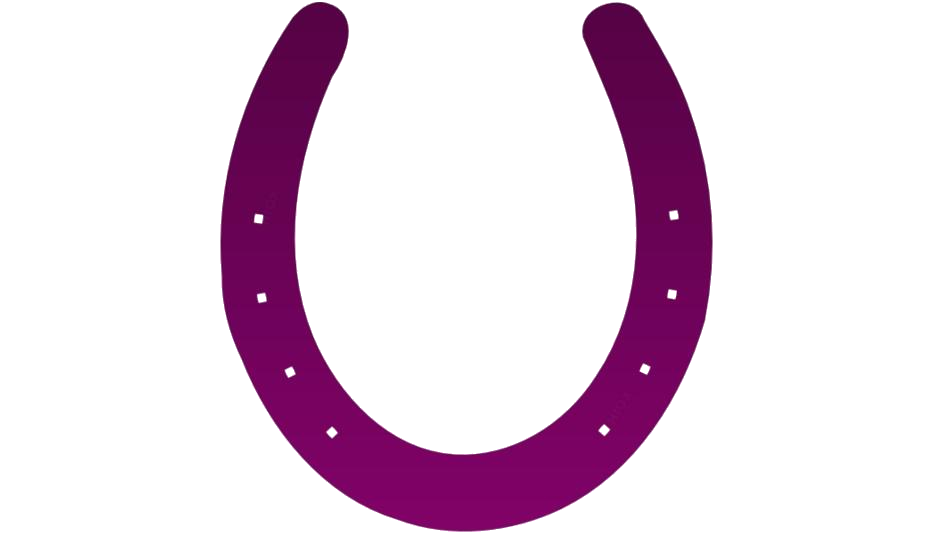 Horseshoe Png Pic (white, purple, indigo)