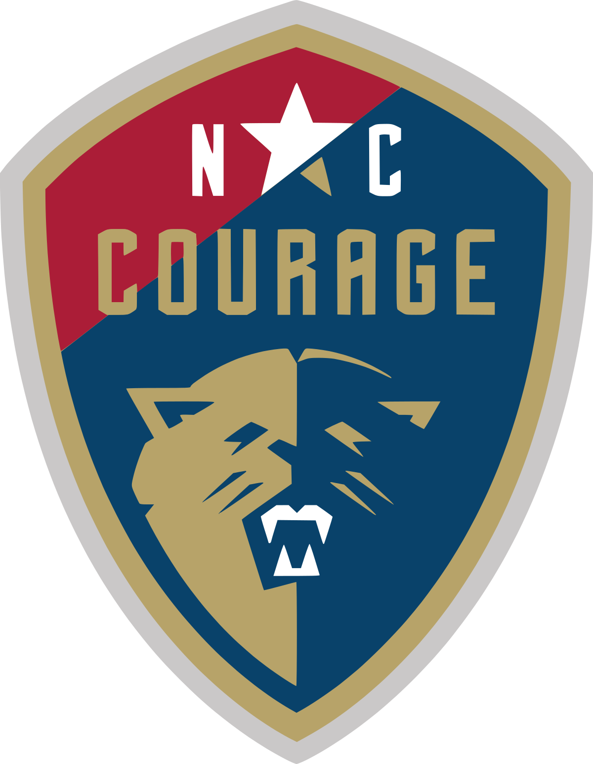 North Carolina Courage Png (maroon, gray, black, teal, navy)