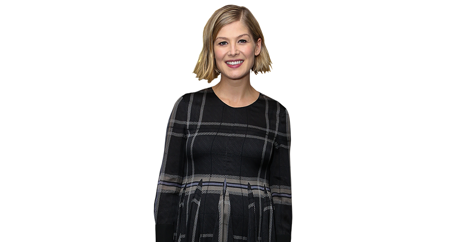 Rosamund Pike Png Hd (gray, black, beige, silver, white)