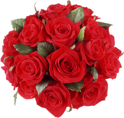 Rose Bunch Png File (red, black)