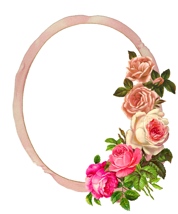 Rose Frame Png Image (pink, black, white)