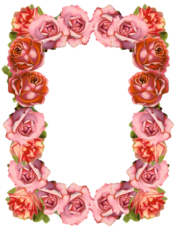 Rose Frame Png Isolated Photo (pink, black)