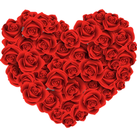 Rose Heart Transparent Background (red, black, maroon)