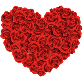 Rose Heart Transparent Background (black, maroon, red)