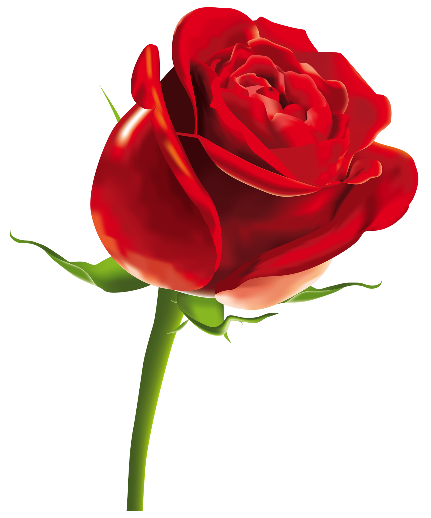 Rose Png Picture (olive, maroon, white, black, red)