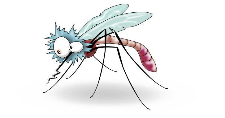 Mosquito Transparent Background (white)