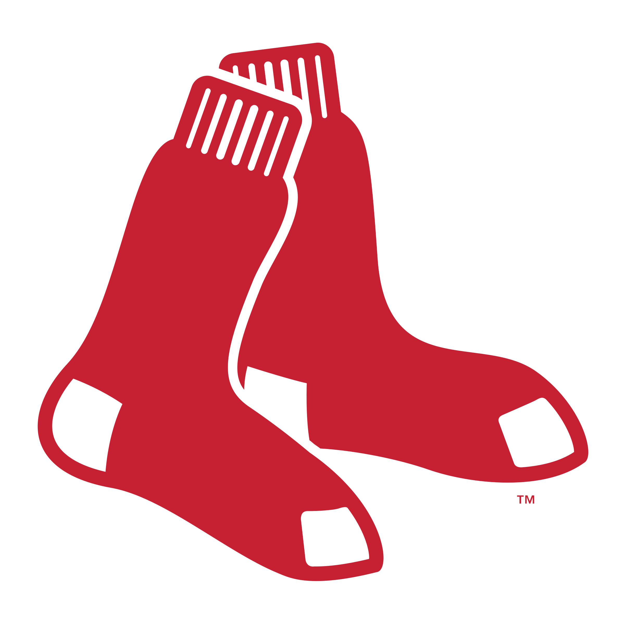 Boston Red Sox Png Isolated Hd (white, black, silver, red, chocolate)