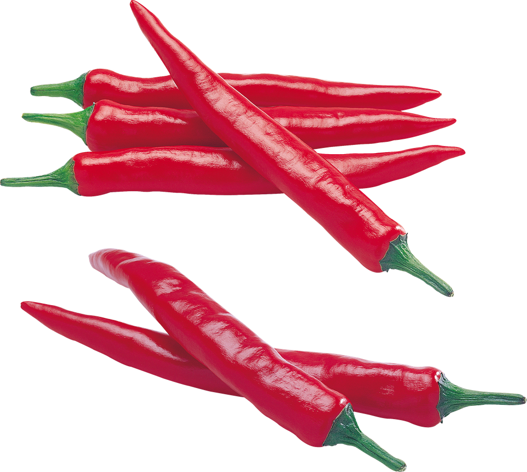 Hot Chilli Png (maroon, purple, black)