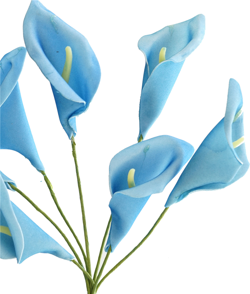 Botanical Calla Lily Png File (black)