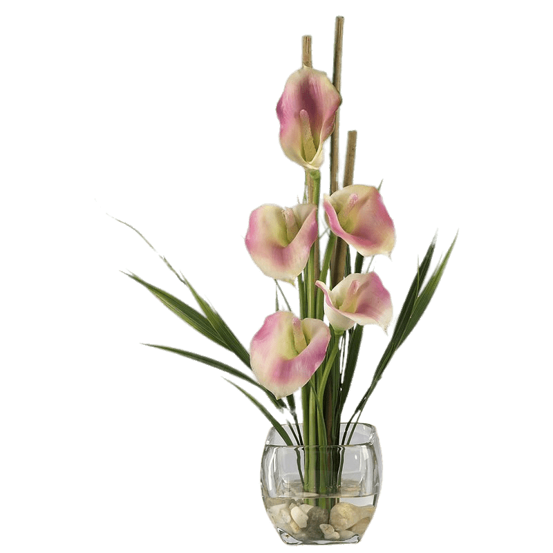 Botany Calla Lily Png Clipart (gray)