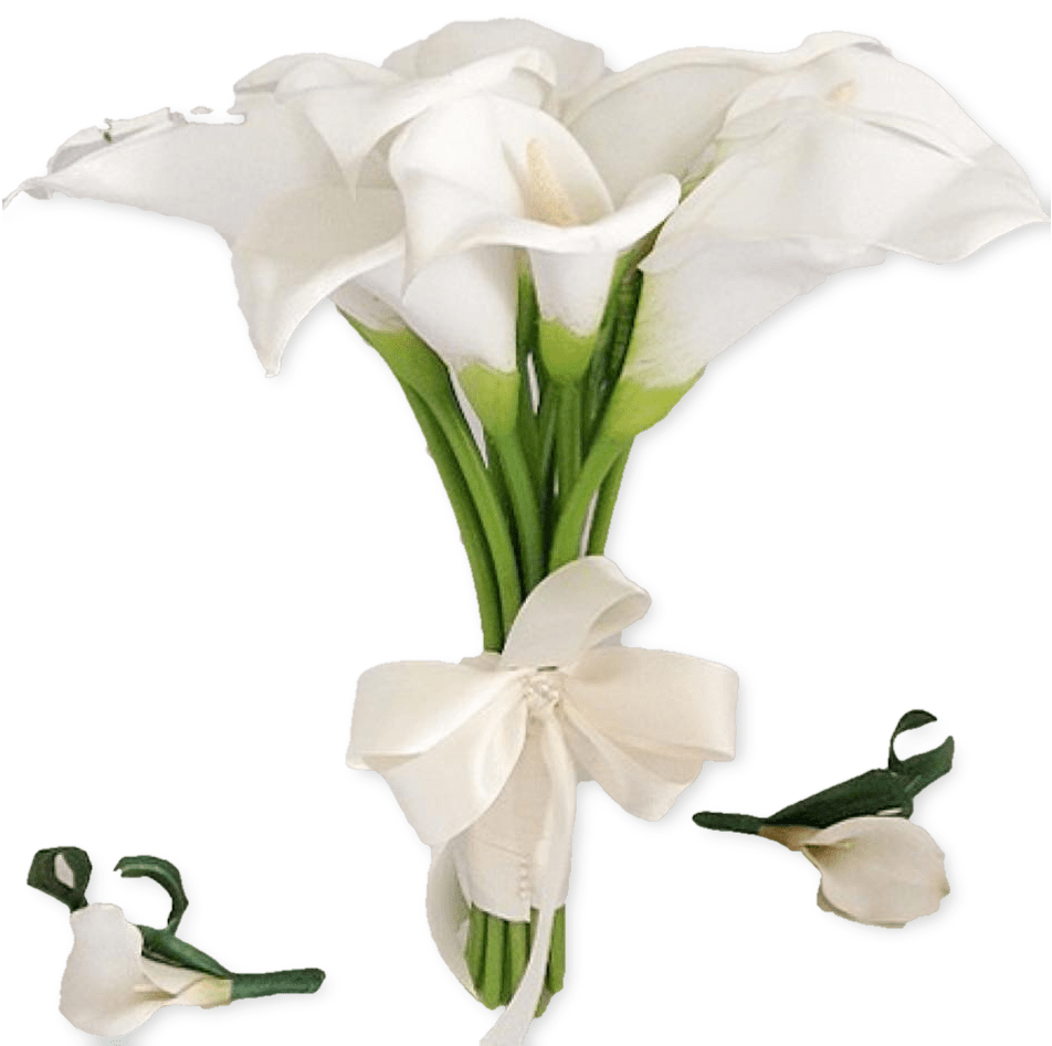 Botany Calla Lily Png File (white, beige, black, silver)