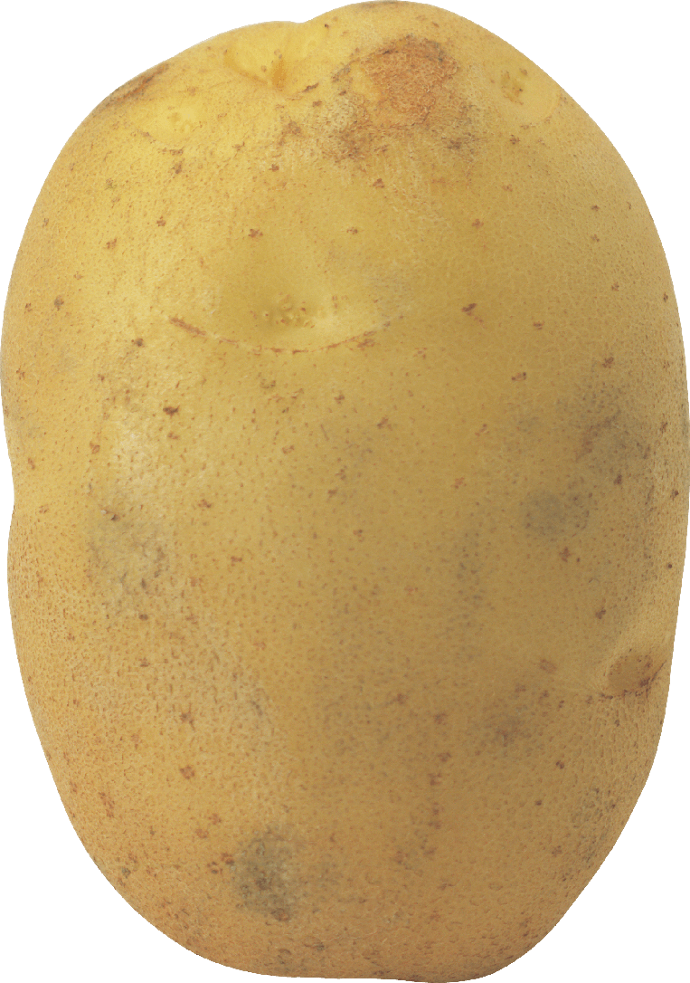 Potato Png Photos (gray, salmon, black, chocolate)