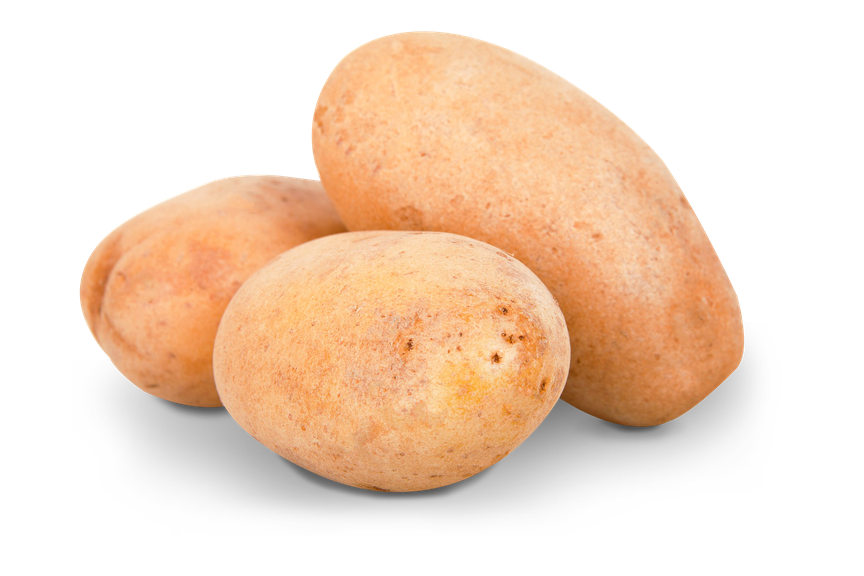 Potato Transparent Background (salmon, pink, black)