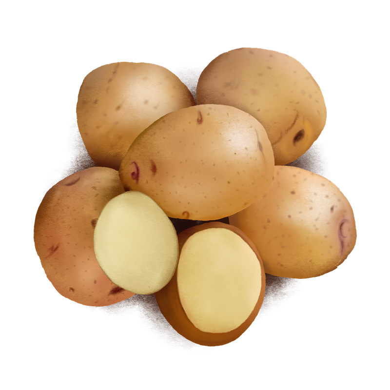 Potatoes Png Photos (silver, black)