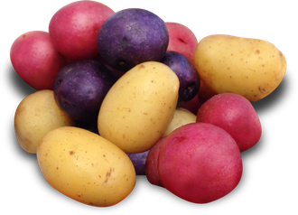 Potatoes Png (salmon, pink, black)