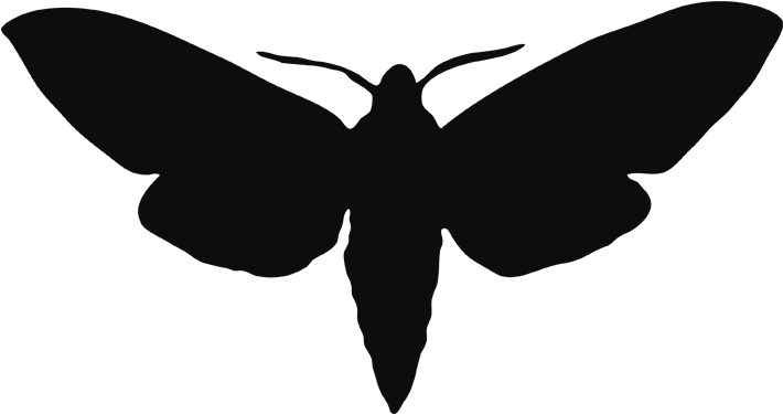 Moth Butterfly Png Image (black)