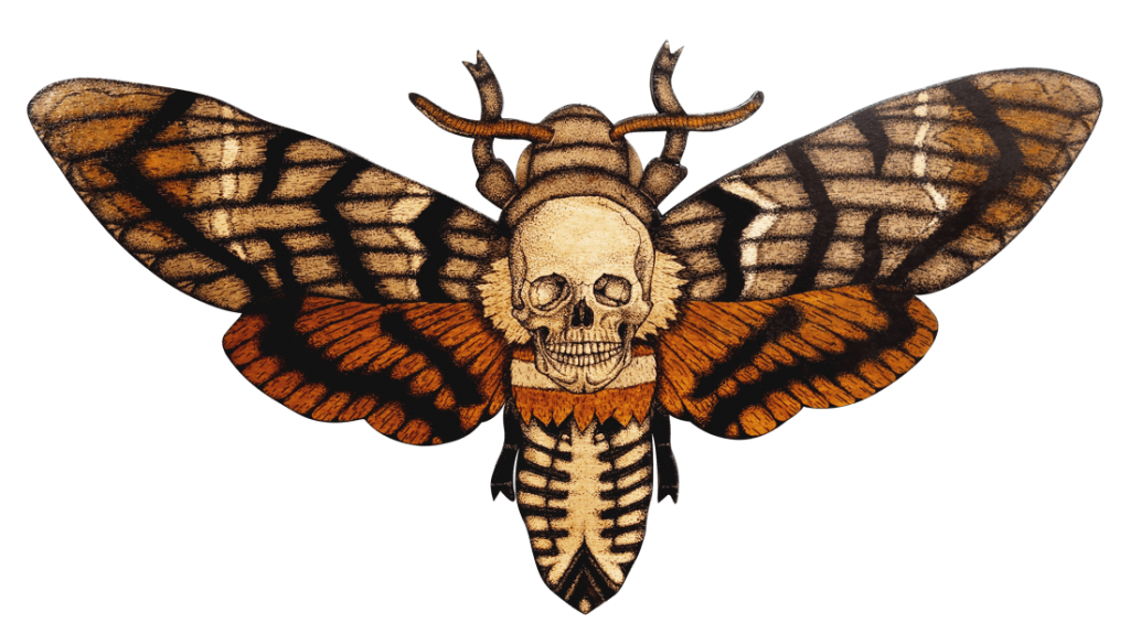 Moth Insect Png Hd Image (black)