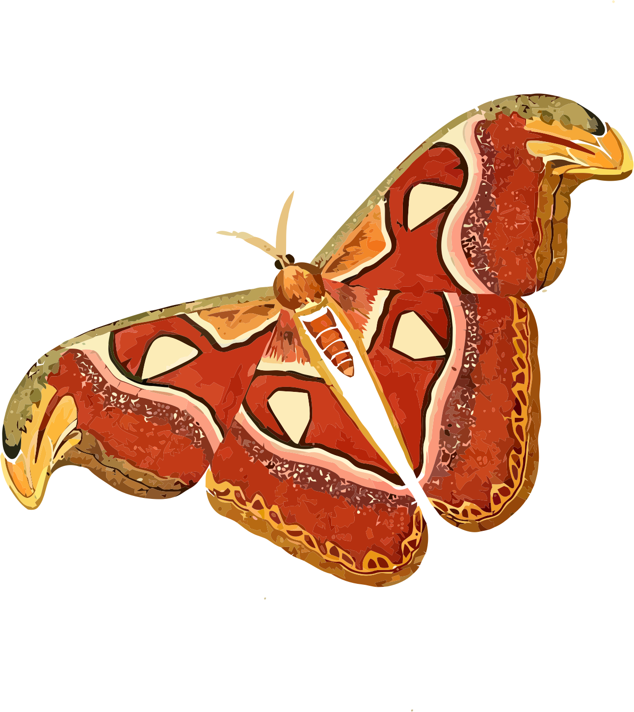 Moth Insect Png Pic (chocolate, beige, black, maroon)