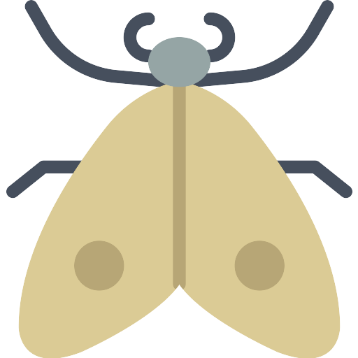 Moth No Background (black, gray, silver)