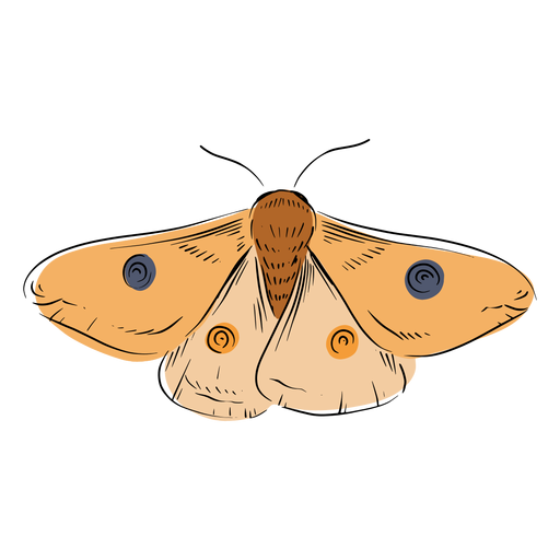 Moth Png Hd Image (black, salmon, pink)