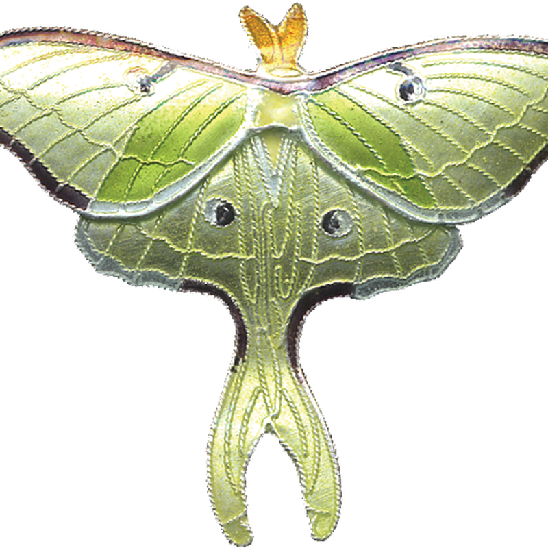 Moth Png Pic (black, white)