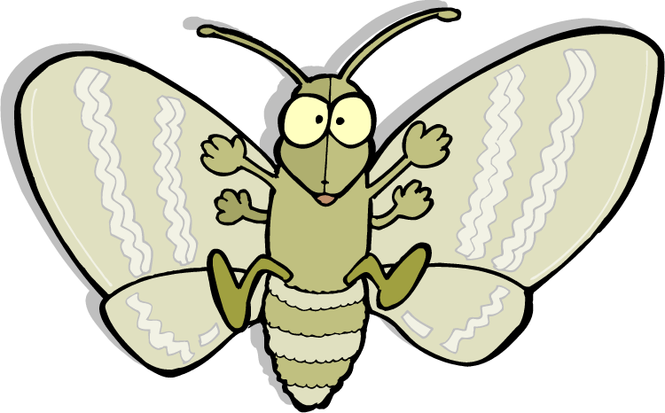 Moth Png Picture (beige, gray, silver, black, white)