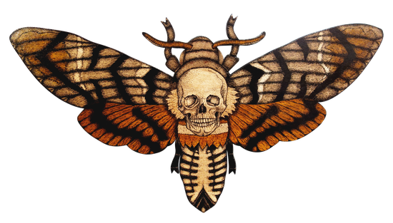 Moth Png Transparent Hd Photo (black)