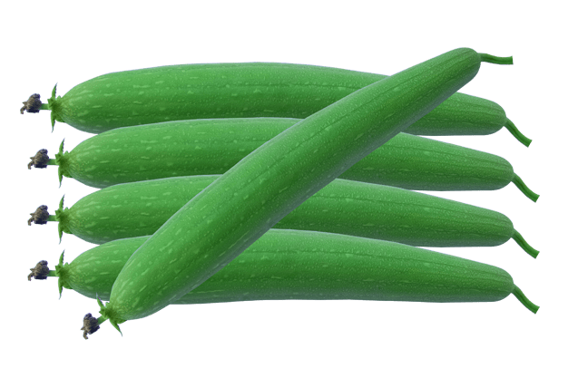 Bottle Gourd Download Png Image (gray)