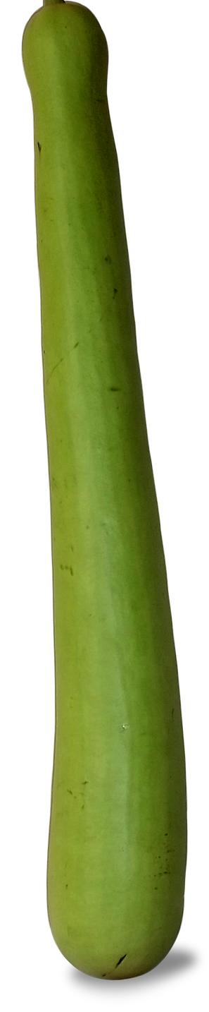 Bottle Gourd Png File (black, olive)